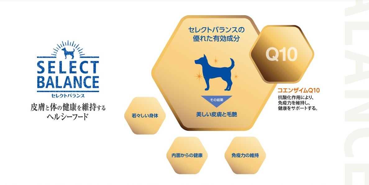 セレクトバランス グレインフリー 配合成分の設計意図